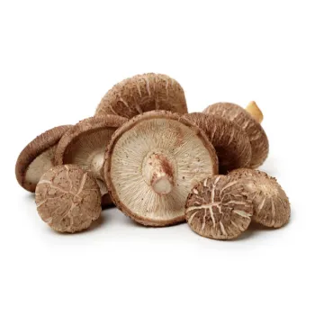 Mushroom (4)-1906098-94784.webp